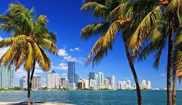 Photo of Miami skyline with palm trees