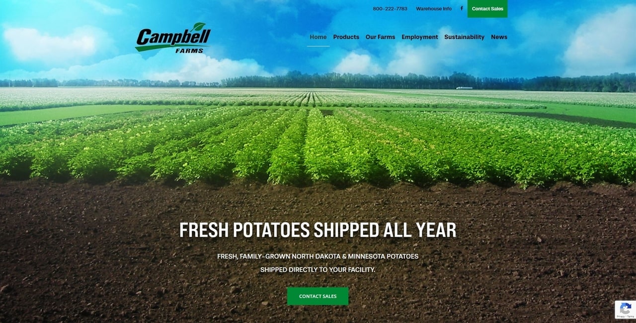 screenshot of campbell farms homepage