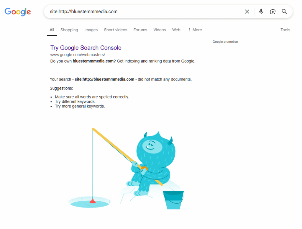 SERP example with no results