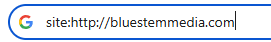 site operator example