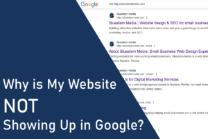 why is my website not showing up in google