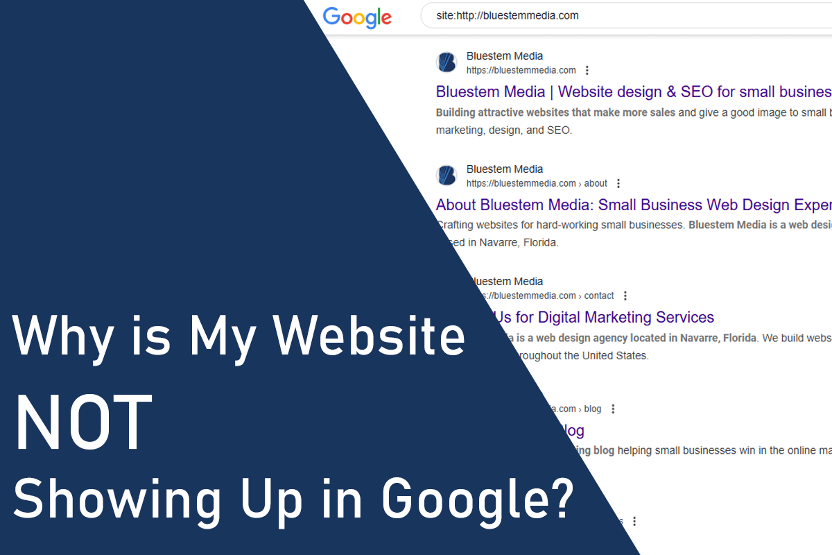 why is my website not showing up in google
